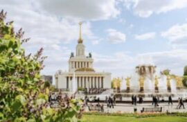 Путешествия спланировали с помощником