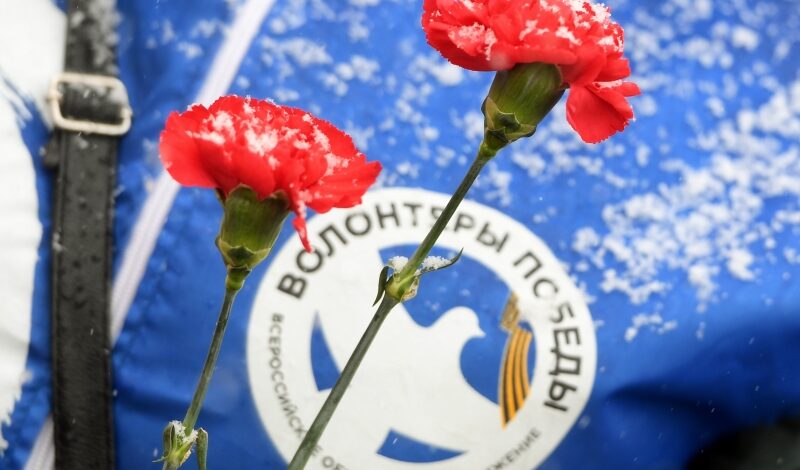 «Волонтеры Победы» проводят акцию «Красная гвоздика»