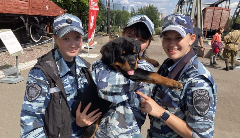 Гостям фестиваля рассказали, как из щенка воспитать героя