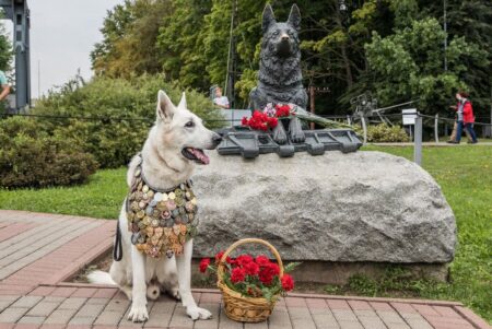 Музей Победы отметит День фронтовой собаки