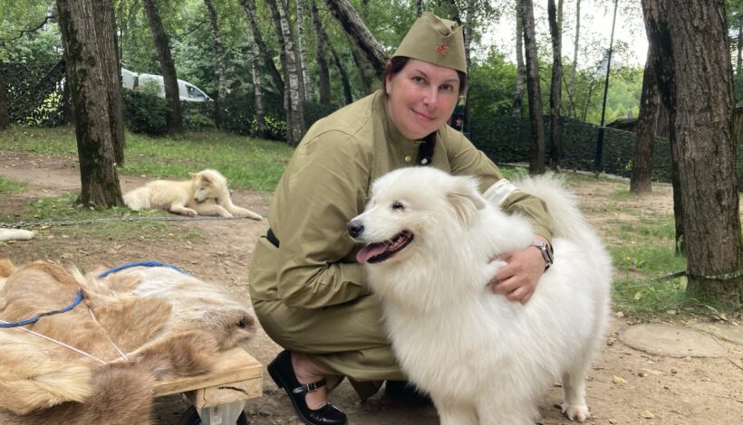 Наталья Басина: «О подвигах собак на фронте забывать нельзя»