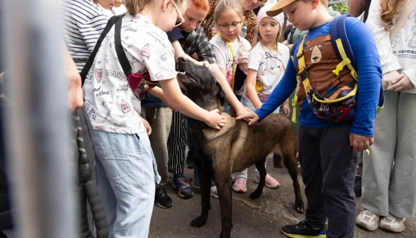 О фронтовых собаках узнали посетители парка