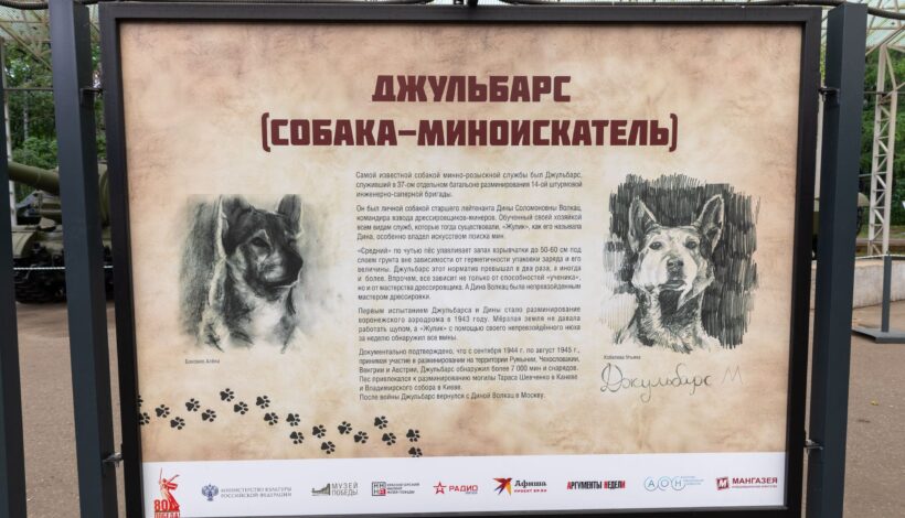 О подвигах собак расскажет выставка