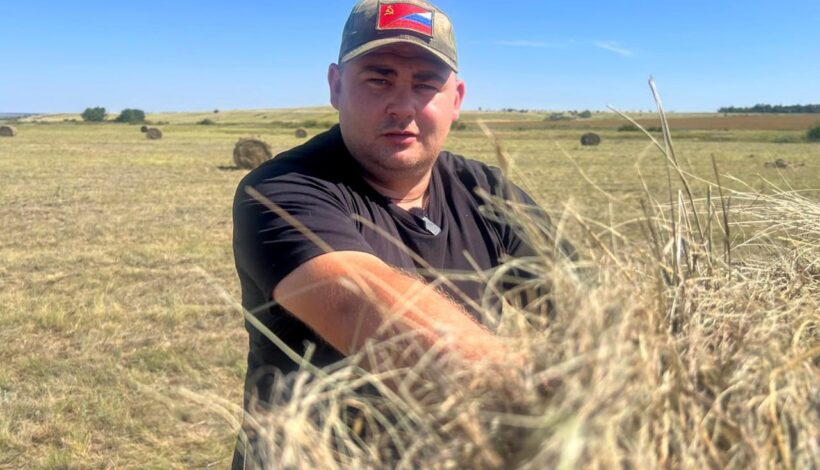 Цифровой агрегатор соберет вакансии для ветеранов СВО