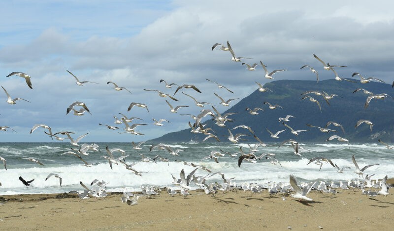 Туристов ждет дальневосточный круиз