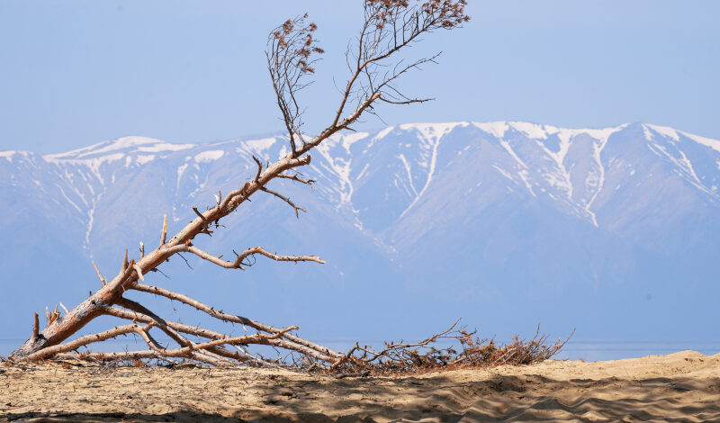 Художественную выставку открыли в музее