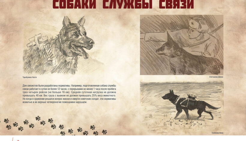 Россияне узнают о подвигах служебных собак