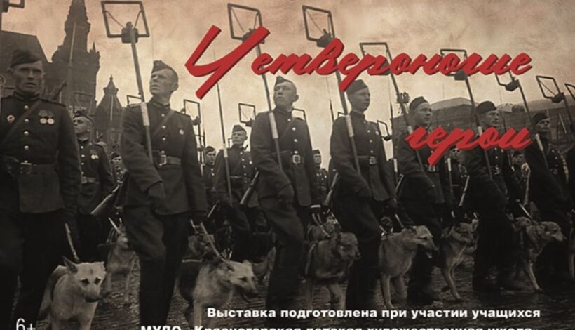 О подвигах собак узнают в КЧР