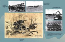 Жители Марий Эл увидят «Дальневосточный финал»