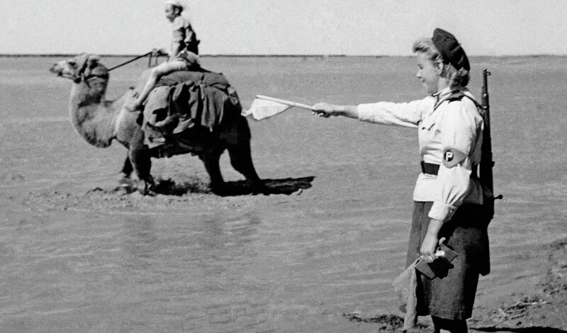 Об окончании Второй мировой войны расскажут на кинопоказах и лекциях