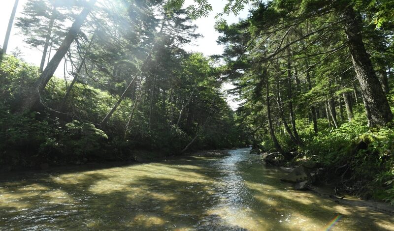 Дальний Восток набирает популярность у путешественников