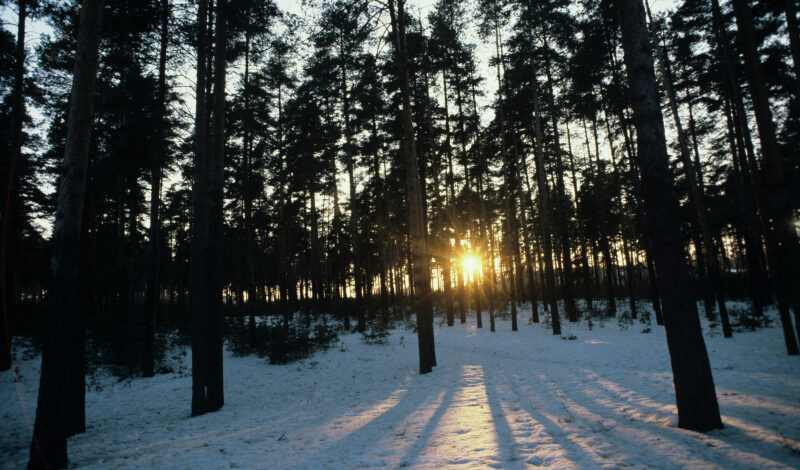 О грантовом проекте РГО рассказали на фестивале науки