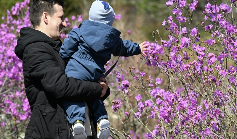 Акцию «Вместе с папой» провело «Движение Первых» 