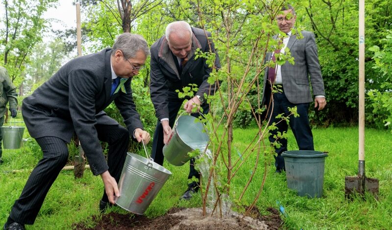 Живые памятники героям появились в Беларуси