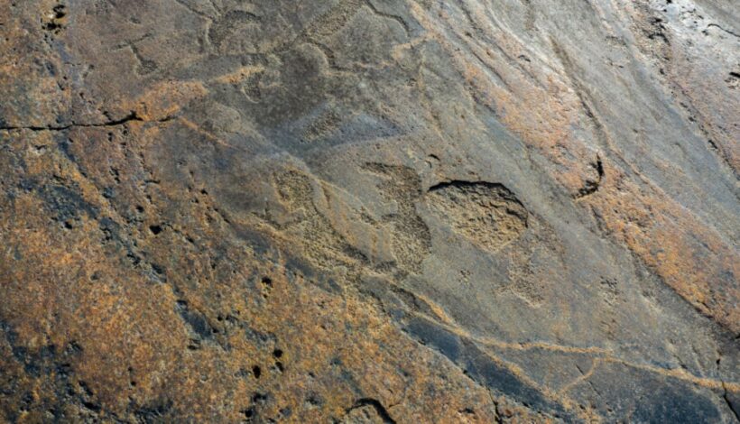 Сотрудники музеев прошли курсы о всемирном наследии ЮНЕСКО