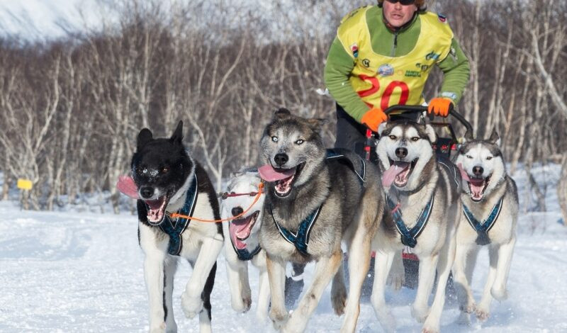 Фильмы о Дальнем Востоке показали в Москве