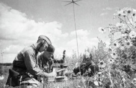 Противодействие фальсификации истории обсудят эксперты