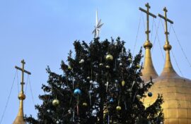 Елка из России оказалась в списке рекордных  