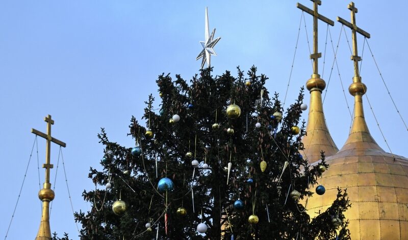 Елка из России оказалась в списке рекордных  