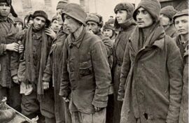 Родственников военнопленных разыщут в Воронежской области