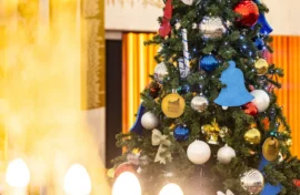 Защитники страны поддержали новогоднюю акцию