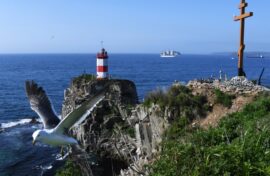 О путешествиях по Дальнему Востоку сняли более 800 фильмов