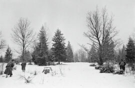 Стелу открыли в память о героических боях