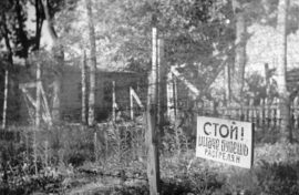 Семьи погибших в концлагерях ищут в 22 регионах