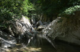 Экологический туризм становится популярнее