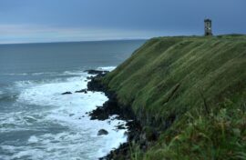 Определены лучшие фильмы о путешествиях по Дальнему Востоку