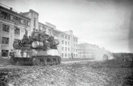 Павших красноармейцев нашли поисковики