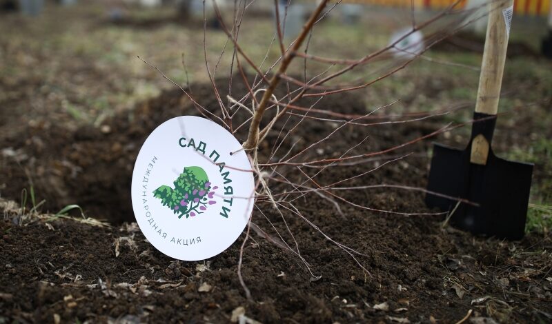 В честь героев СВО вырастет «Сад памяти»