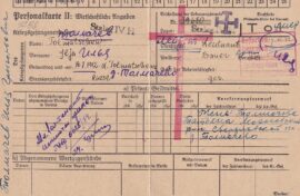 Внучка красноармейца узнала его судьбу