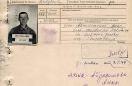 Родственники красноармейца узнали его судьбу