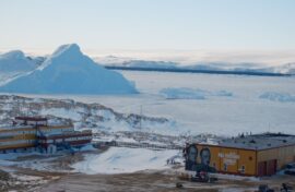 Создан первый антарктический мурал