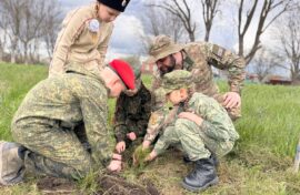 Юнармейцы высадили ели в честь героев СВО