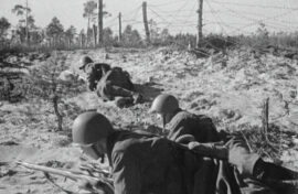 Память об участниках Ленинградской битвы сохранят