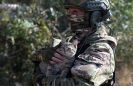 Спасенные кошки стали примером для подражания