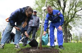 Сад памяти высадили в честь космонавтов