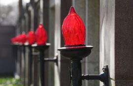 Отмечен вклад соотечественников в сохранение исторической памяти