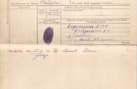 Восстановлена история попавшего в плен красноармейца