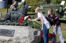 Тысячи россиян отметили День фронтовой собаки