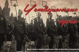 Жители Амурской области узнают о подвигах собак