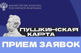 За развитие «Пушкинской карты» поощрят  