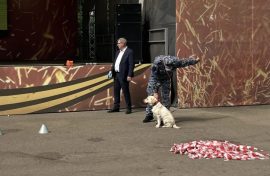 Посетители поделились своими впечатлениями