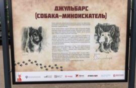 Музей Победы рассказал о четвероногих героях