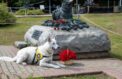 Подвигам служебных собак посвятят фестиваль