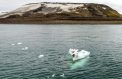 Крайний Север сделают привлекательнее для молодежи