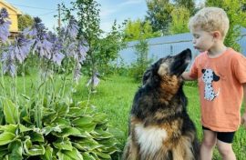 Подведены итоги «Хвостатого флешмоба»