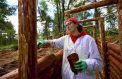 Студенты создадут мемориальный комплекс